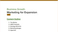 Strategies for Business Growth